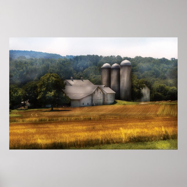 Scheune - Zuhause auf der Weide Poster (Vorne)