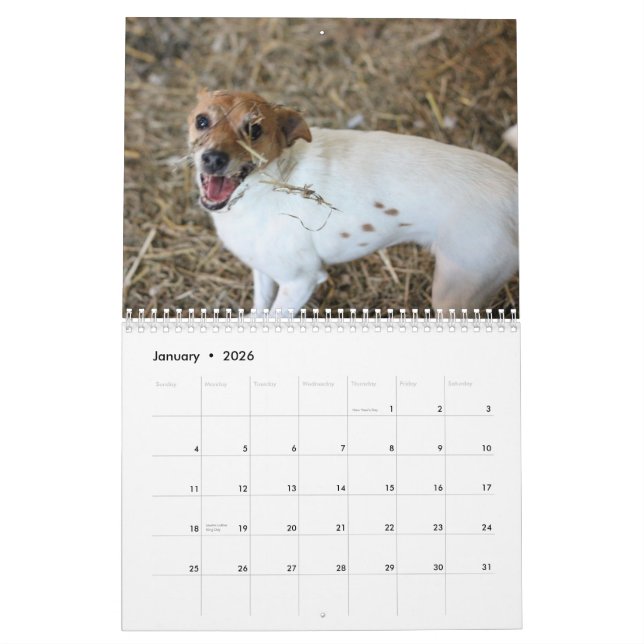 Scheunen-Jagd Assoc Kalender 2013 (Jan 2026)