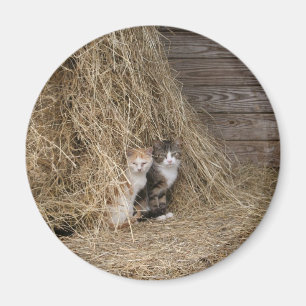 Scheunen-Katzen-Magnet Magnet