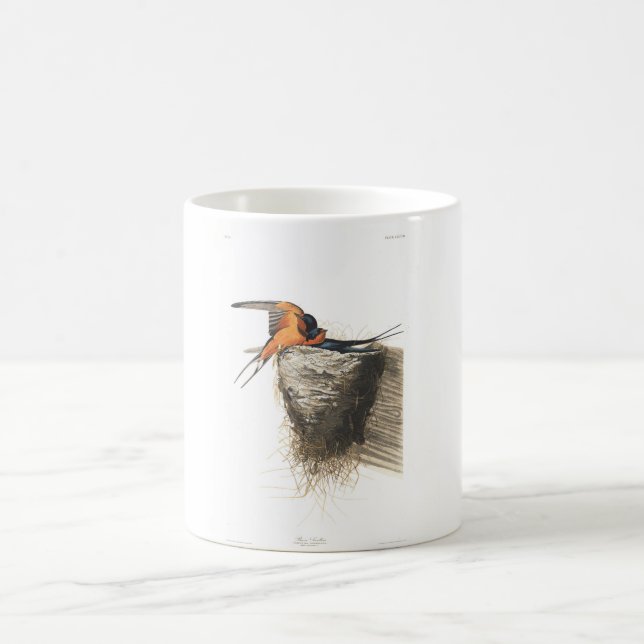 Scheunen-Schwalbe Audubon Platten-173 Tasse (Mittel)