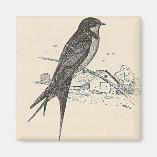 Scheunen-Schwalbe Magnet