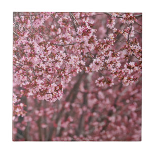 Schichten rosa japanischer Kirschblüten Fliesen