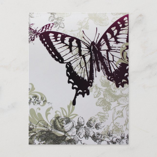 schicke, farbenfrohe Sommerschmetterling Postkarte (Vorderseite)