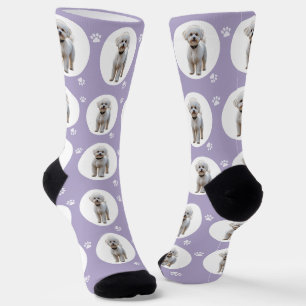 Schicke lila violette benutzerdefinierte Haustier- Socken