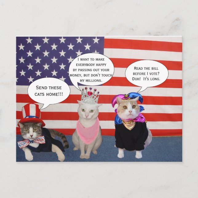 Schicken Sie diese Katzen Zuhause! Postkarte (Vorderseite)