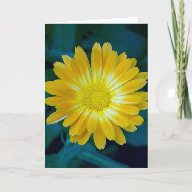 Schicken Sie Ihren Freunden Blume, die dauert Karte (Vorderseite)