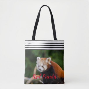 Schicker Roter Panda Gestreift