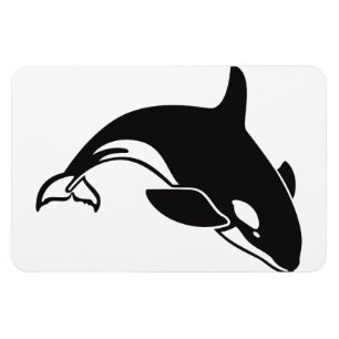Schicksal Orca Wal Wasser Frieden Liebe Natur Magnet