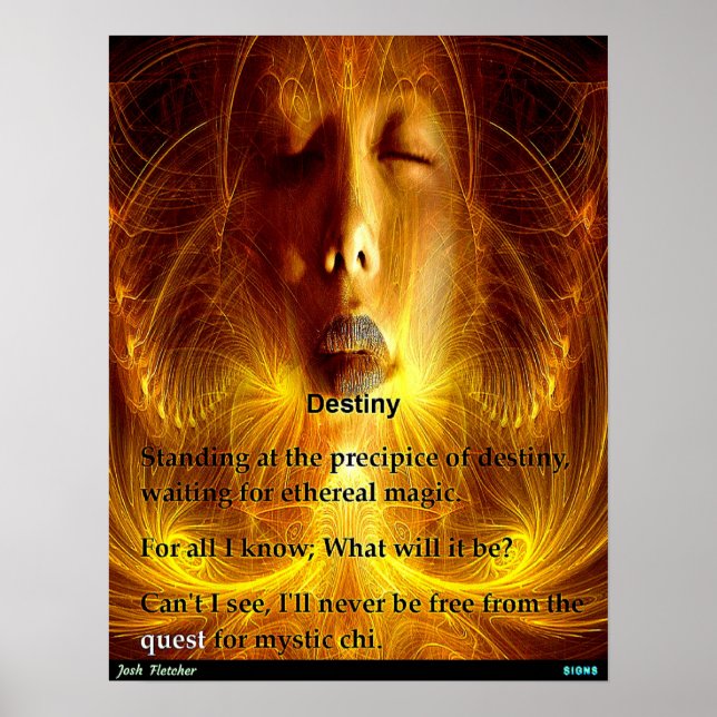 Schicksal Poster (Vorne)