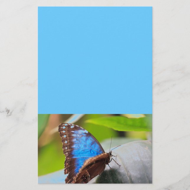 Schicksals-Geschenke Briefpapier (Vorderseite)