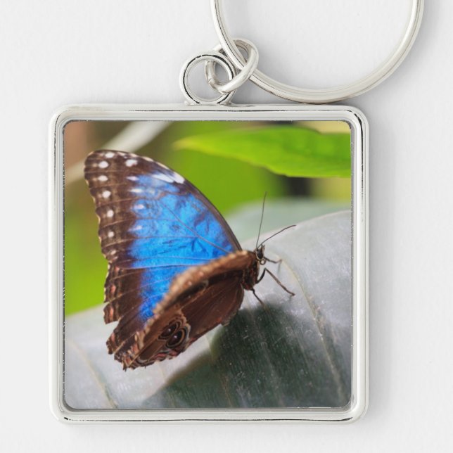 Schicksals-Geschenke Schlüsselanhänger (Vorne)