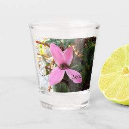 Schiebeglas Schnapsglas