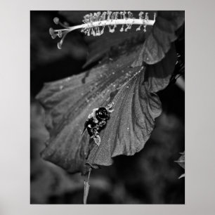 Schieben der Biene Poster