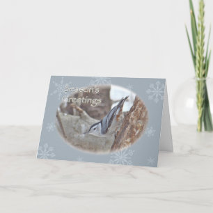 Schiefergraue Kleiber-Singvogel-Saisons-Grußkarte Feiertagskarte