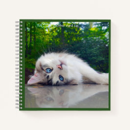 Schielaugenkatze Notizbuch