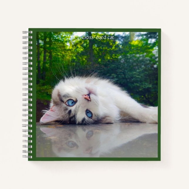 Schielaugenkatze Notizbuch (Vorderseite)