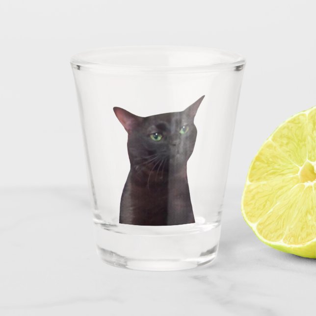 Schießglas aus Cat Meme Schnapsglas (Vorderseite)