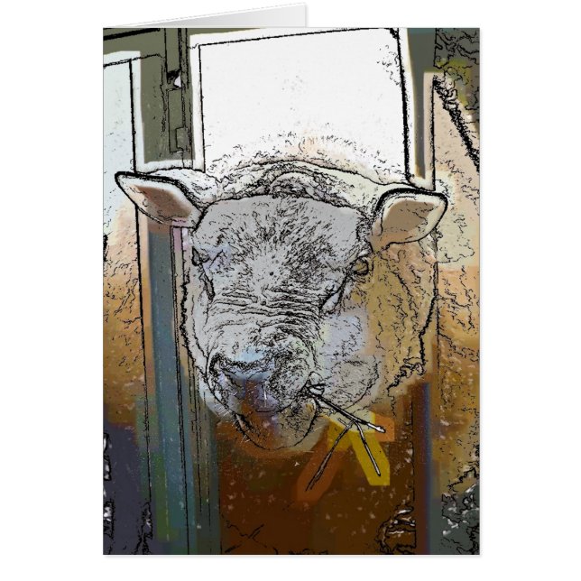 SCHIFFSKARTE (Vorne)