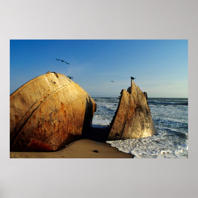 Schiffswrack On Beach, Skelettküste, Namibia Poster (Vorne)