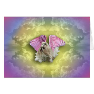 Schihtzugoddess geht vom Himmel ab