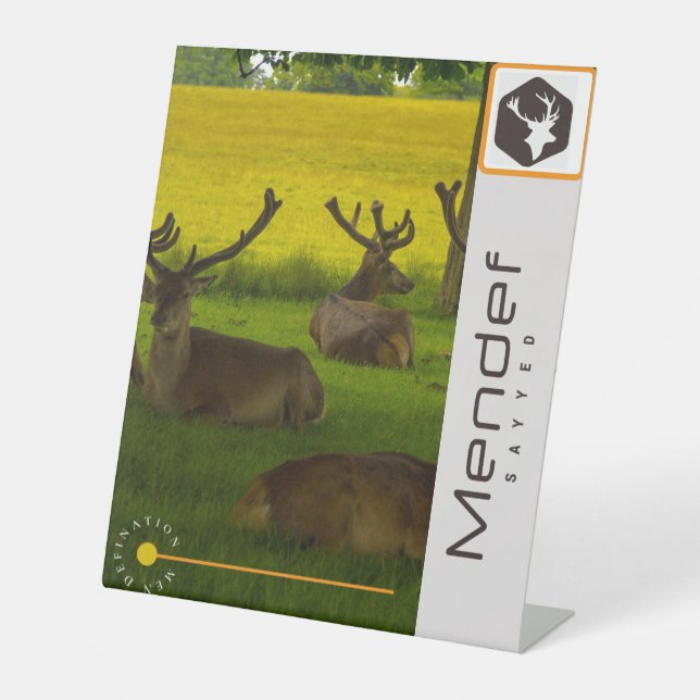 Schild (Vorderseite)