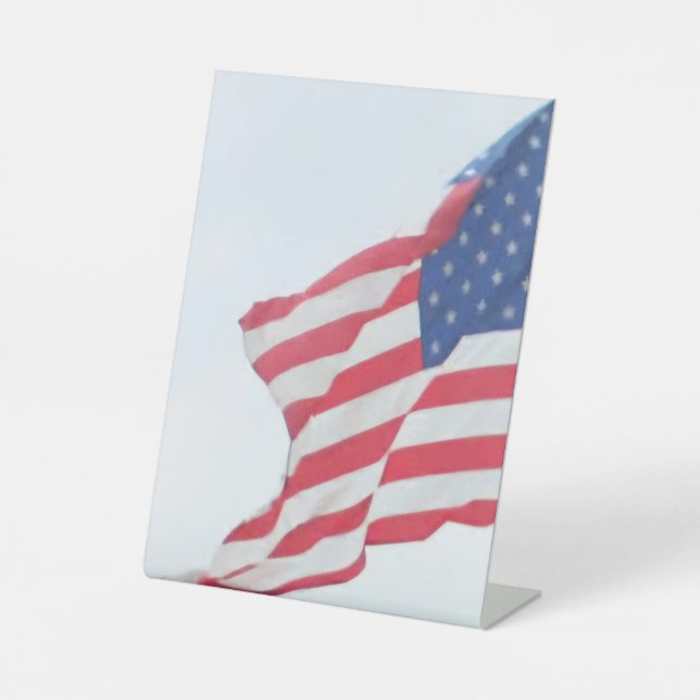 Schild (Vorderseite)