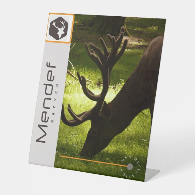 Schild (Vorderseite)