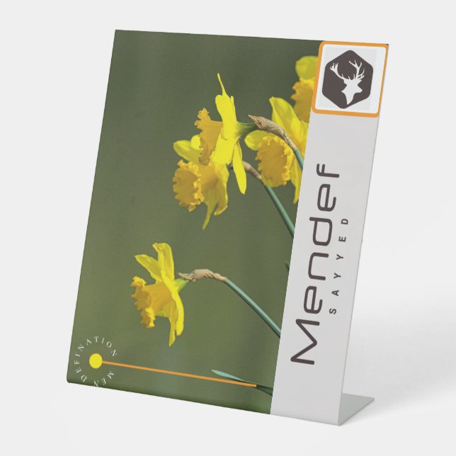 Schild (Vorderseite)