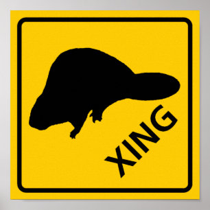 Schild "Beaver Crossing Highway"