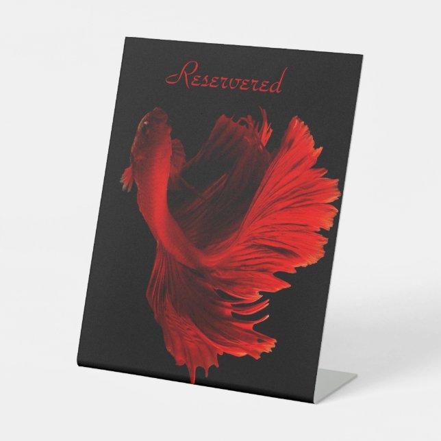 Schild "Pedestal" vorbehalten (Vorderseite)