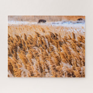 Schilde von Antelope Island, Utah - 16x20 - 520 St Puzzle