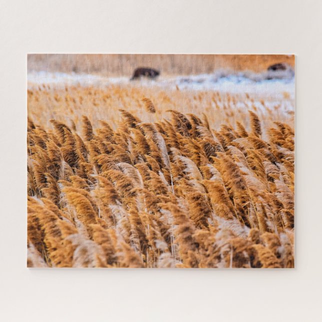 Schilde von Antelope Island, Utah - 16x20 - 520 St Puzzle (Horizontal)