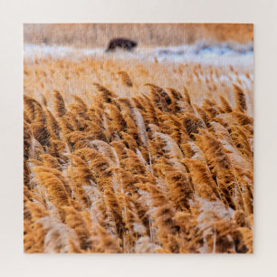 Schilde von Antelope Island, Utah - 20x20 - 676 St Puzzle