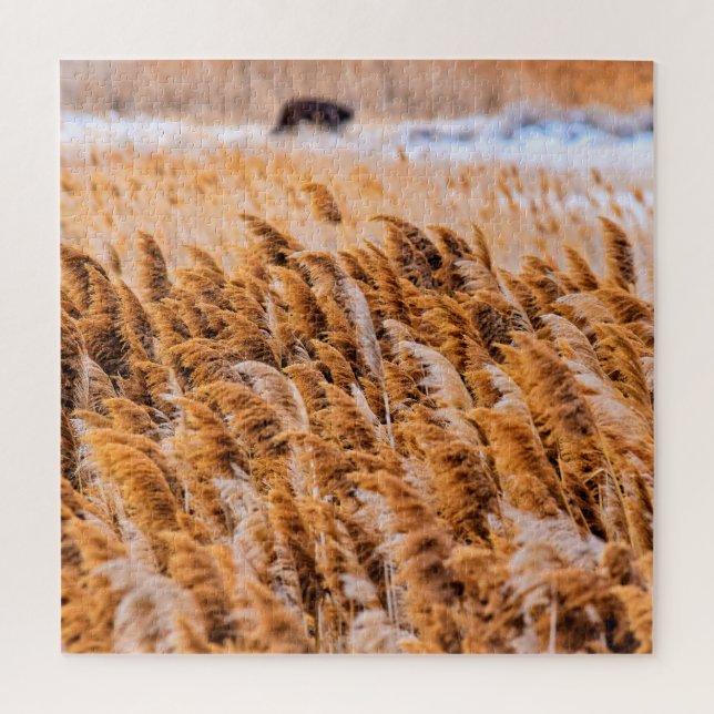 Schilde von Antelope Island, Utah - 20x20 - 676 St Puzzle (Vertikal)