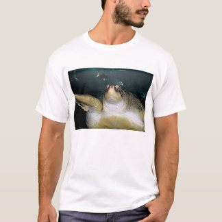 Schildkröte 2 T-Shirt