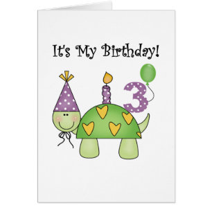 Schildkröte 3. Geburtstag - Hemden und Geschenke