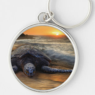 Schildkröte am Sonnenuntergang Schlüsselanhänger