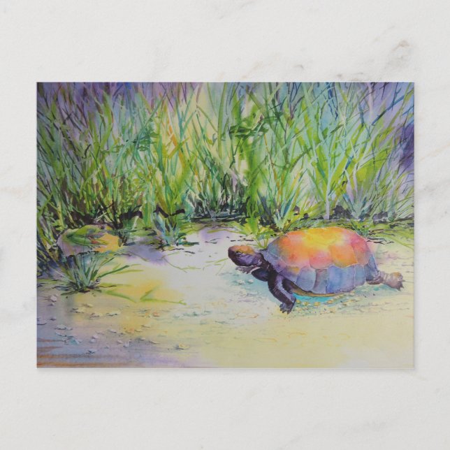 Schildkröte am Strand Postkarte (Vorderseite)