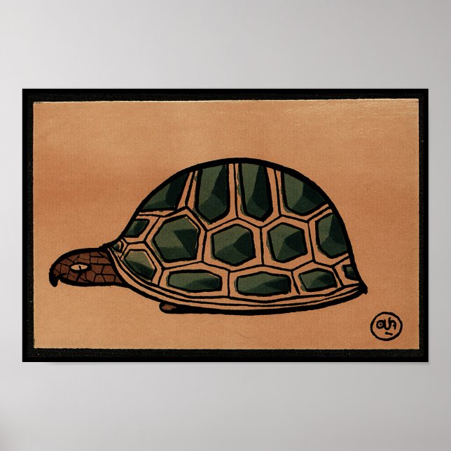 Schildkröte - Antike, farbenfrohe Buchillustrierun Poster (Vorne)