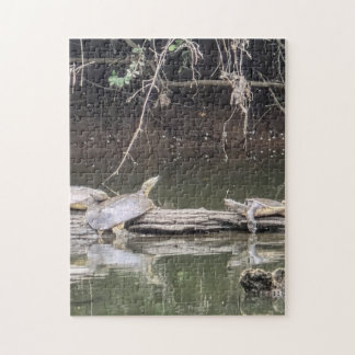 Schildkröte auf einem Baumstamm Puzzle