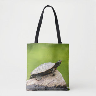 Schildkröte auf einem Stein