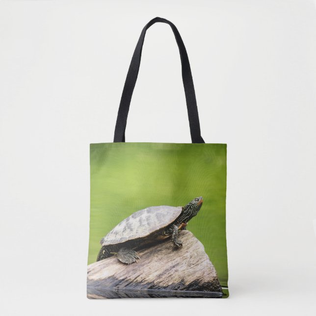 Schildkröte auf einem Stein (Vorderseite)