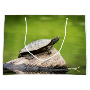 Schildkröte auf einem Stein Große Geschenktüte