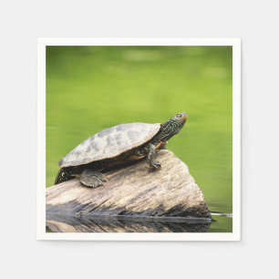 Schildkröte auf einem Stein Serviette