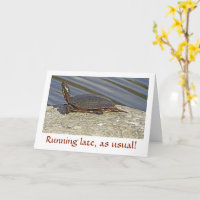 SCHILDKRÖTE AUF ROCK/BELATED GEBURTSTAG