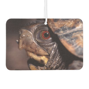 Schildkröte Autolufterfrischer