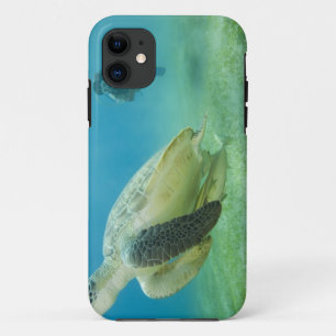 Schildkröte Case-Mate iPhone Hülle