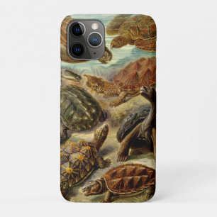 Schildkröte (Chelonia) von Haeckel iPhone 11 Pro Hülle