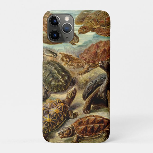Schildkröte (Chelonia) von Haeckel Case-Mate iPhone Hülle (Rückseite)