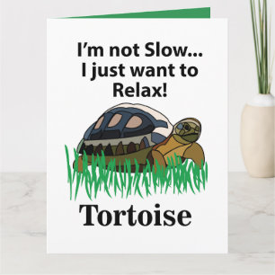 Schildkröte Entspannen Tier Süß Lustig Geburtstag Karte